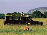 safari_03.jpg